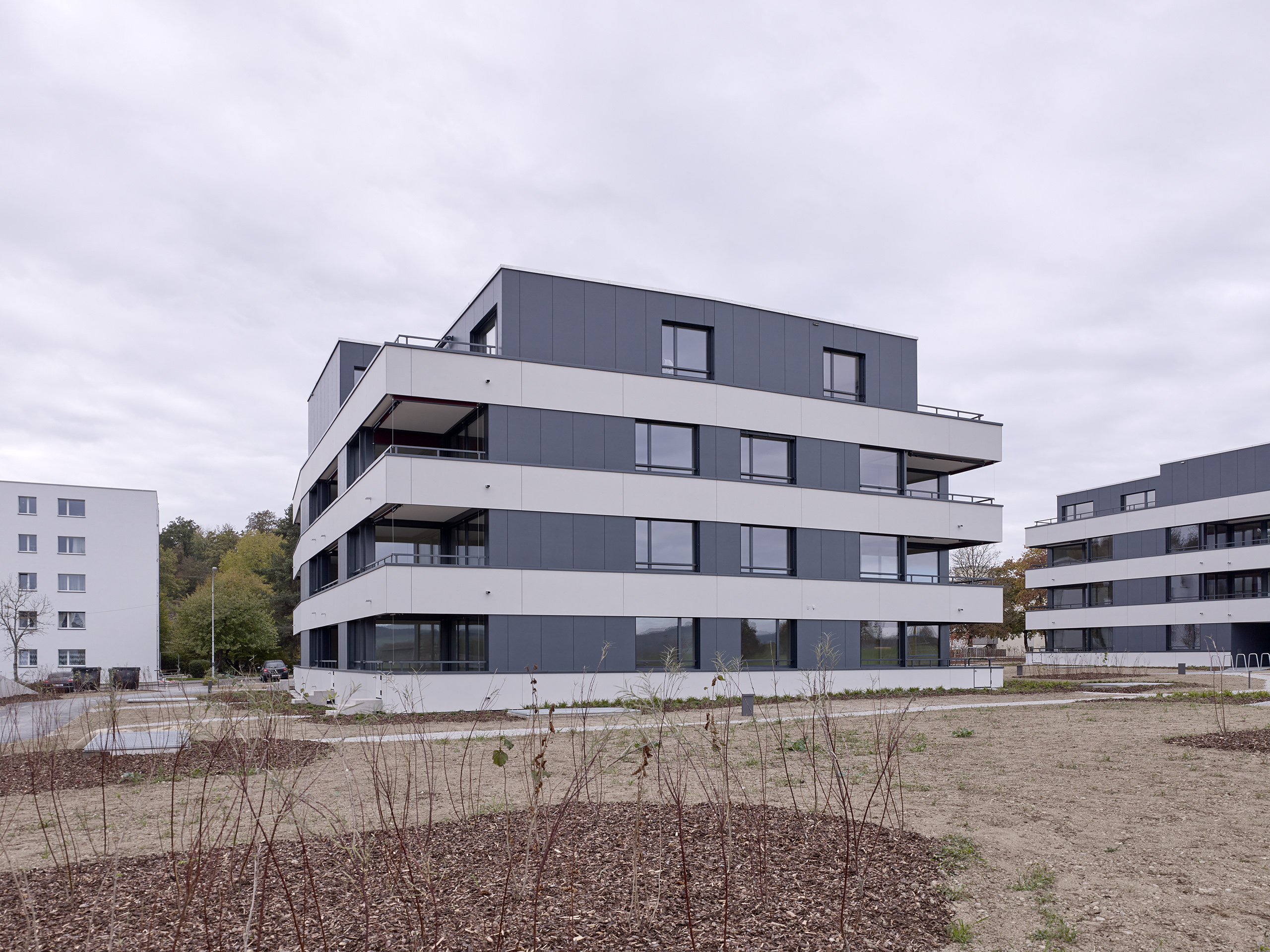 E18686 Alpa 080242 SCREEN